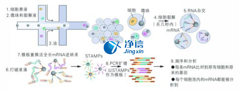 中國人自己的單細(xì)胞測序儀來了！,Drop-seq